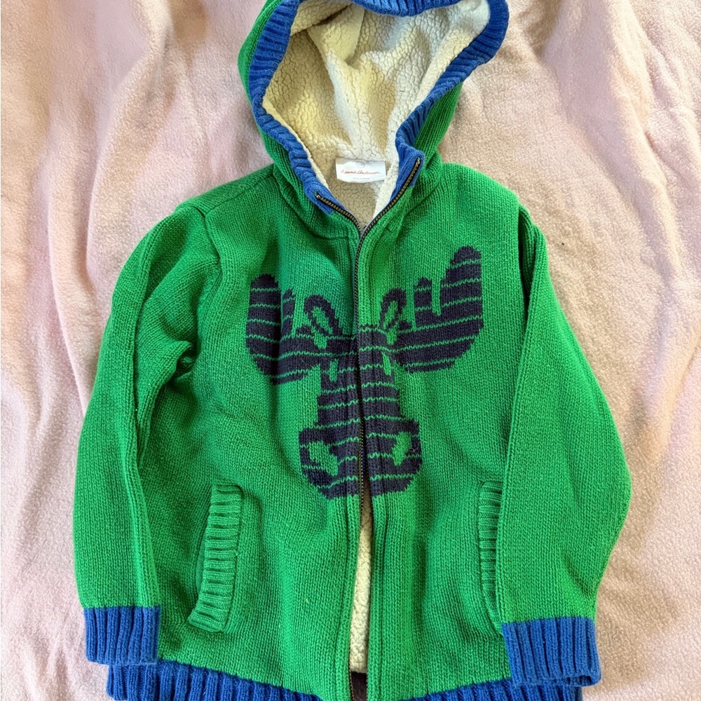 Hanna Andersson Green Knit Hoodie with Navy Moose Graphic Size 4 (100)